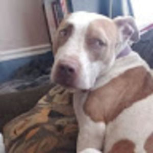 Meet your Posher, Jaclyn